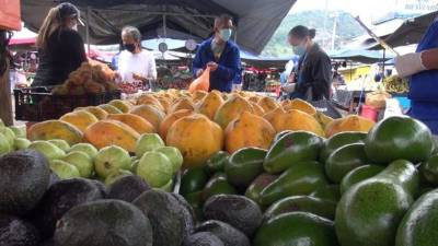La papaya es uno de los cultivos de mayor potencial.
