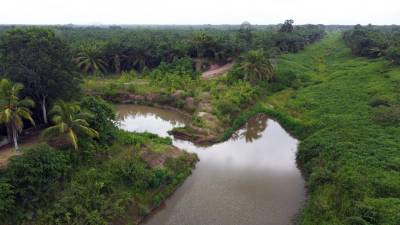 La SIT informó que están ejecutando proyectos por el orden de L21 millones.