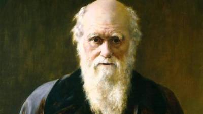 Una carta manuscrita de Charles Darwin en la que deja claro que no cree en la Biblia ni en Jesucristo será subastada el 21 de septiembre en Nueva York, informó hoy la casa Bonhams.