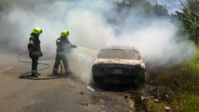 Bomberos evitaron que las llamas se extendieran a la vegetación.