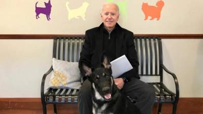 El presidente electo de EEUU, Joe Biden, junto a una de sus mascotas./