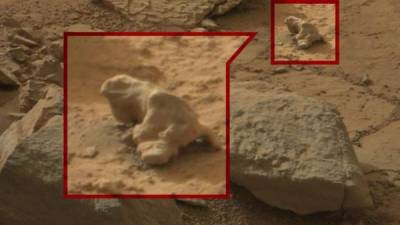 Una presunta iguana detectada en las fotos de la NASA en Marte. Foto NASA.