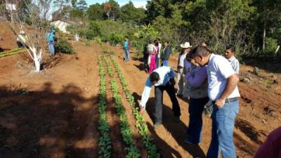 Técnicos de la Agencia en una visita de campo.