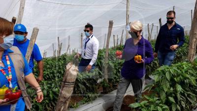 La embajadora Cindy McCain visitó esta mañana las comunidades de Pacayal y Brisas del Cerro en el municipio de Chinacla, La Paz, en el comienzo de su gira por tres departamentos del Corredor Seco.