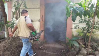 Chamelecón y Las Palmas fueron intervenidos la semana pasada.