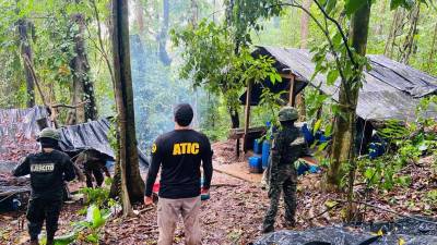 Fotografía muestra a militares hondureños y agentes de la Atic en una zona montañosa de Colón (Honduras), donde se encontró una plantación de hoja de coca.