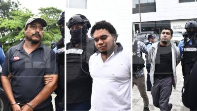 Siete hombres y una mujer de entre 32 y 49 años, pertencientes a la banda de José Bernabé Acevedo, alias Berna, son los capturados implicados en el secuestro y muerte de José Octavio Sosa Méndez, hermano del extraditable Rafael Sosa Méndez.