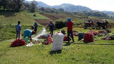 El sector agrícola requiere de políticas y acceso al riego tecnificado para producir durante la estación seca.