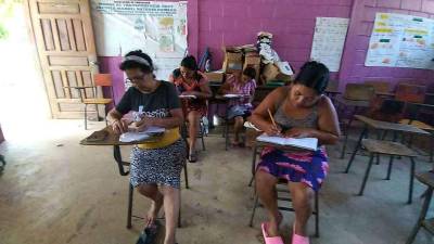 En Cortés hay más de 1,900 personas mayores de 15 años inscritas en el programa de alfabetización.
