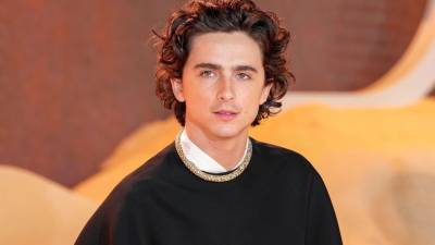 Timothée Chalamet es uno de los actores jóvenes más talentosos.