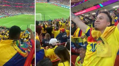 Video: La petición de los aficionados ecuatorianos que rompe las reglas de Qatar