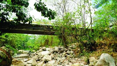 La concesionaria dice que la enee no envía programaciones y no pueden planificar ellos.