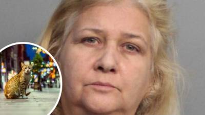 Cheryn Smilen fue condenada a un año de cárcel. Foto: Miami-Dade County