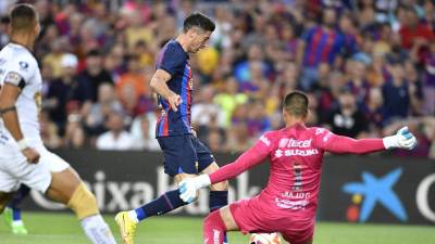 Robert Lewandowski se presentó con su nueva afición, la del FC Barcelona.