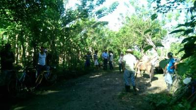 Los cuerpos de las víctimas fueron encontrados en una zona aledaña al municipio de Olanchito, Yoro.