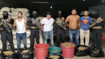 Seis detenidos han dejado tres operativos de la FNAMP en la zona norte de Honduras.