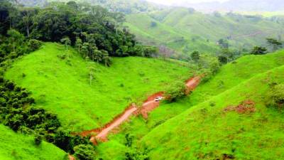 <b>La carretera atraviesa los departamentos de Olancho y Gracias a Dios.</b>
