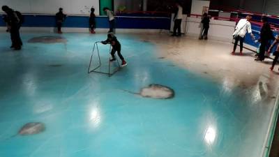 Un parque de atracciones pretendía dar la sensación de patinar sobre el mar congelando peces en una pista. AFP