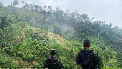 Peligra el agua para más de un millón de habitantes debido al ensañamiento que hay con la montaña, comparada por su valor ecológico y humano con la biósfera del Río Plátano.