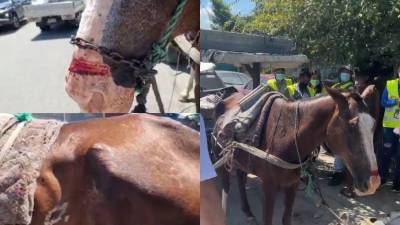 Roberto Contreras reaccionó indignado.