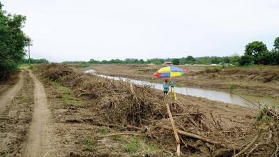 En el Canal Maya en el municipio de La Lima serán desazolvados ocho kilómetros.