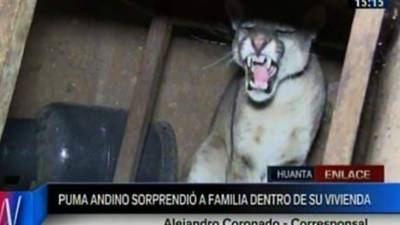 La familia salió en busca de ayuda.