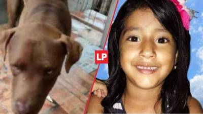 El Ministerio Público dijo que en la casa también habitaba una perra adulta, detalle que la familia de la niña omitió.