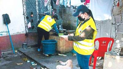 Personal de salud municipal de San Pedro Sula realiza fumigaciones y aplicación de larvicidas en barrios y colonias.
