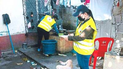 Personal de salud municipal de San Pedro Sula realiza fumigaciones y aplicación de larvicidas en barrios y colonias.