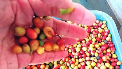 El Estado dejará de percibir 4,500 millones en impuesto por el acuerdo aprobado.