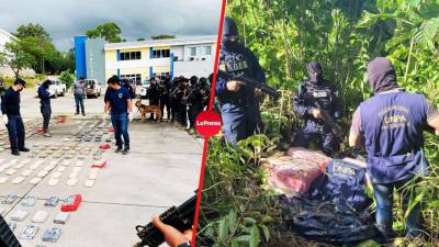 120 paquetes de supuesta cocaína decomisó la Policía Nacional en una hacienda en Iriona, Colón.