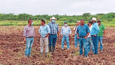 Las precipitaciones en la zona norte serán por arriba de lo normal en octubre.