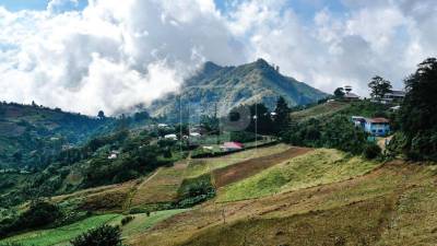 Aldea El Gallito, en el Merendón.