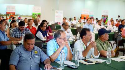 <b>Representantes de sectores productivos participan en la socialización de la Pesah. Foto. J. Cantarero</b>