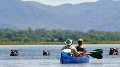 Los safaris en canoa para dos personas por el río Zambeze son muy populares.