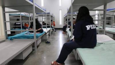 Decenas de inmigrantes denunciaron que fueron sometidas a cirugías forzadas, incluyendo histerectomías o extracciones de útero./AFP.
