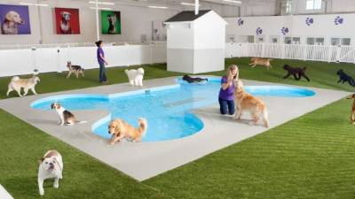 A partir de 2016, perros, gatos, caballos, conejos, vacas y compañía tendrán una terminal exclusiva y de lujo.