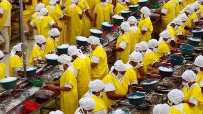 El precio del camarón tuvo alza de 27% este año, lo que incidió en el aumento de las exportaciones. Foto: Yoseph Amaya.