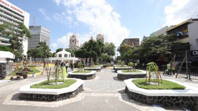 <b><span class=mln_uppercase_mln>FIESTAS.</span></b> Los empleados trabajan colocando luces multicolores.