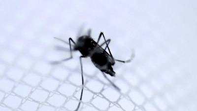 Costa Rica confirma su primer caso de Chikunguña.