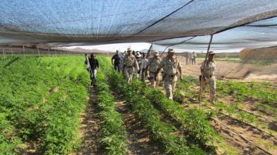 La mercancía podría estar valorada en alrededor de seis millones de dólares.