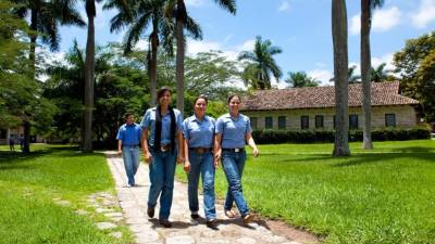 El Zamorano recibirá 700 mil dólares de parte del Gobierno de Estados Unidos.