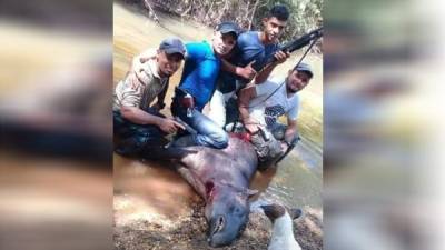 Los hombres posaron junto al cuerpo del mamífero.