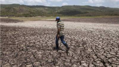 Estos dos datos resumen la situación real en la cual se encuentra el sector agropecuario a causa de la sequía como consecuencia del cambio climático.