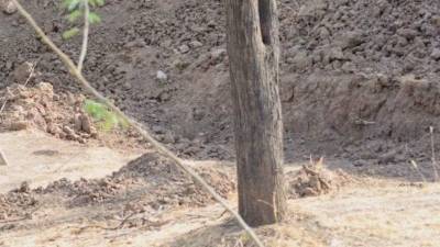 Esta imagen viral está quebrando muchas cabezas, ¿podrás resolverla tú?