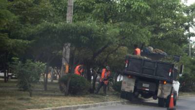 Las campañas de limpieza en toda la ciudad han sido la mejor arma para combatir el dengue.