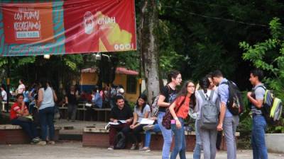 El taller va enfocado a los estudiantes de la Unah-vs y de otras universidades, también para el público en general.