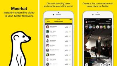 En el mundo de la tecnología, muchos fueron los proyectos que murieron en lo que va del año. Este es un repaso por los casos más sonados. Meerkat: a finales de septiembre dejó de estar disponible la app Meerkat, que en 2015 fue una de las pioneras del servicio de transmisión de video en vivo. Después, Periscope ganó en usuarios tras ser comprada por Twitter, y Facebook Live Video terminó de cavar la tumba de la app creada por el israelí Ben Rubin.