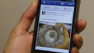 Las redes sociales atraen más a los jóvenes.