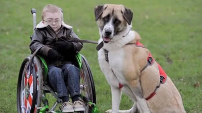La increíble historia de amistad entre un niño británico enfermo y su perro de tres patas conmueve a internautas de todo el mundo.